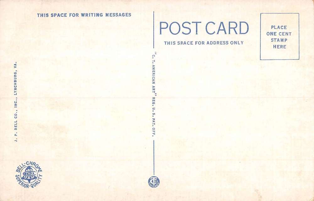 Lynchburg Virginia Randolph Macon Womans College Antique Postcard K86511 - Image 2