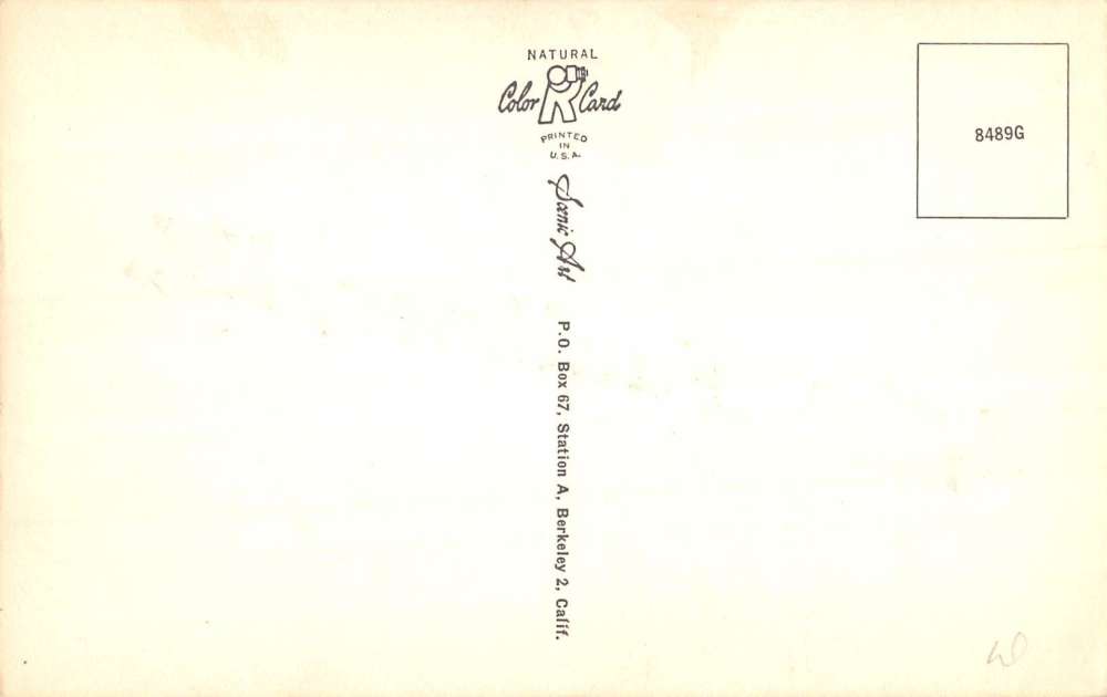 Faulkner Maryland Flower Pool Multiview Vintage Postcard K86785 - Image 2