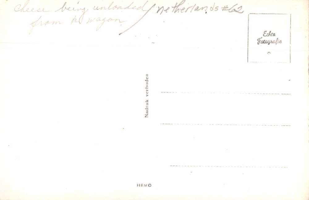 Leiden Netherlands Unloading Cheese Real Photo Antique Postcard J75149 - Image 2