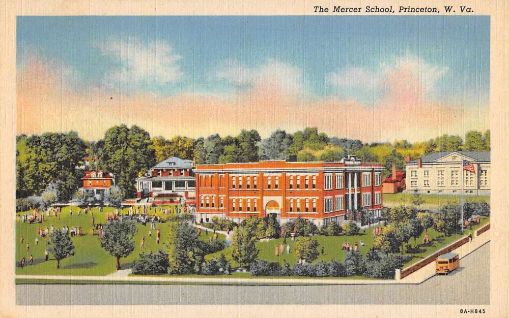 Princeton West Virginia Mercer School Birdseye View Antique Postcard K87764...