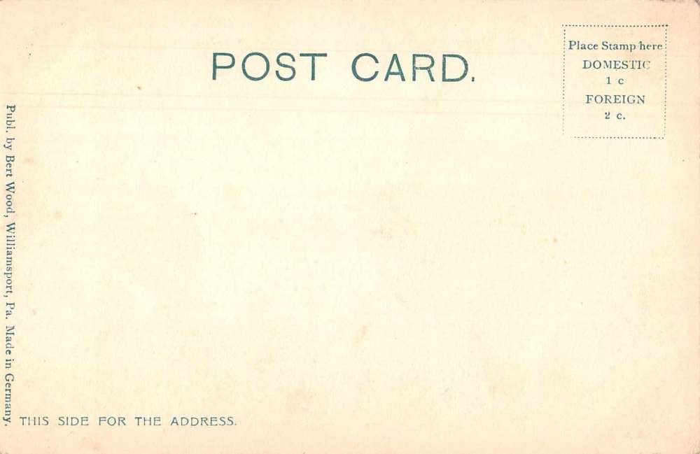 Williamsport Pennsylvania West Branch National Bank Pine Street Postcard J75587 - Image 2