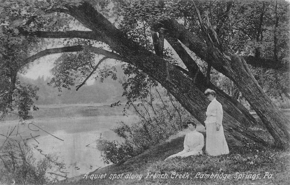Cambridge Springs Pennsylvania French Creek Waterfront Antique Postcard
