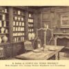 New York Worlds Fair Conti's Old World Pharmacy Interior Postcard J75985