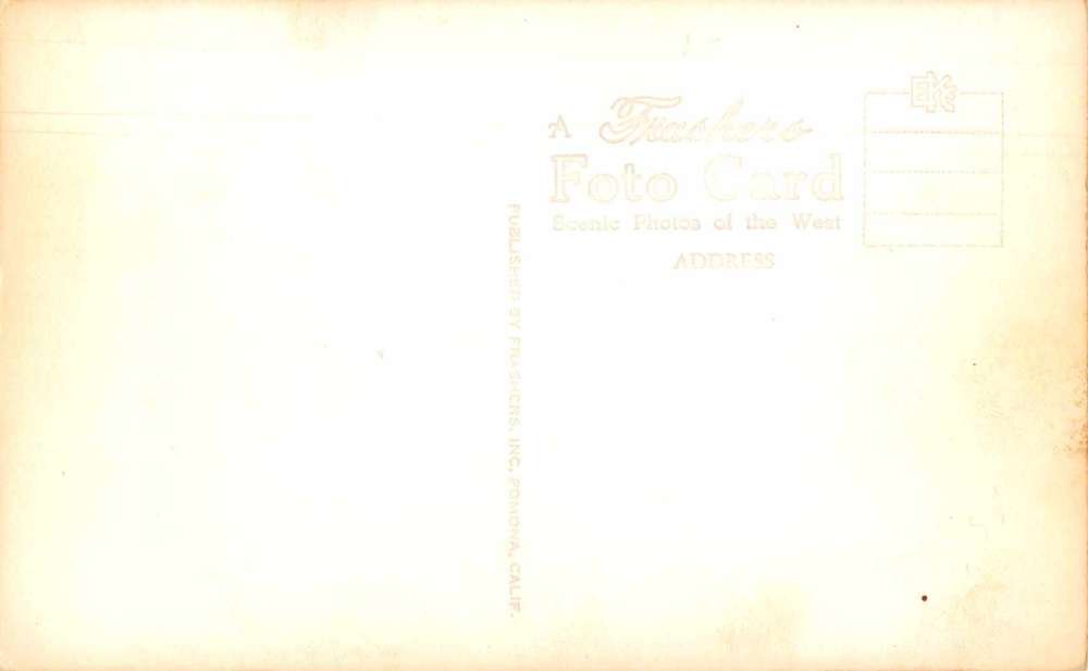 Desert Tradedy cow skeleton with cart Frasher real photo pc Z46064 - Image 2