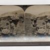 Luzon Philippines Sweet Potatoes Gathered by Igorrote Girls Stereoview J76769