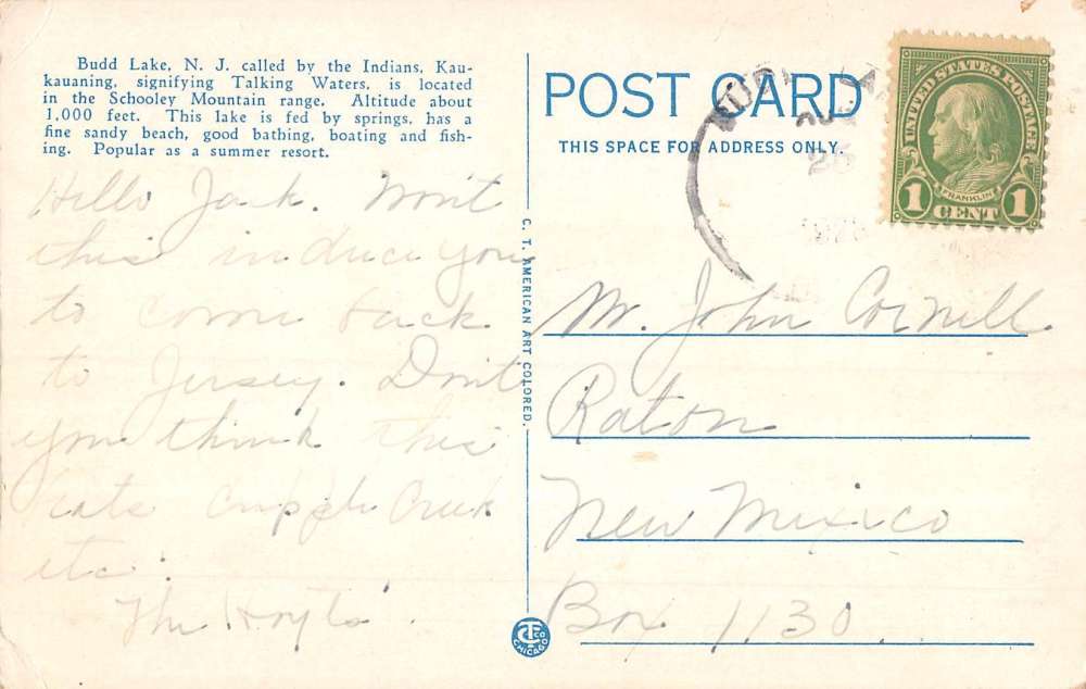 Budd Lake New Jersey Green Room Canoe Romance Antique Postcard K93018 - Image 2