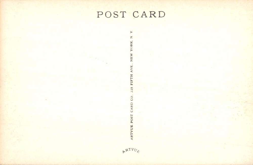 Machias New York Odosagih Conference Grounds Antique Postcard K93485 - Image 2