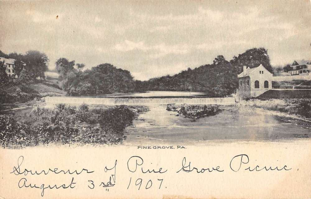 Pine Grove Pennsylvania Scenic Waterfront Greeting Antique Postcard