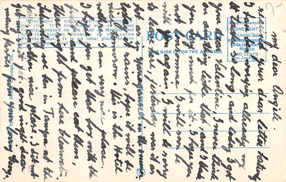 Clearwater Florida West Coast Hotel Street View Antique Postcard K95462 - Image 2