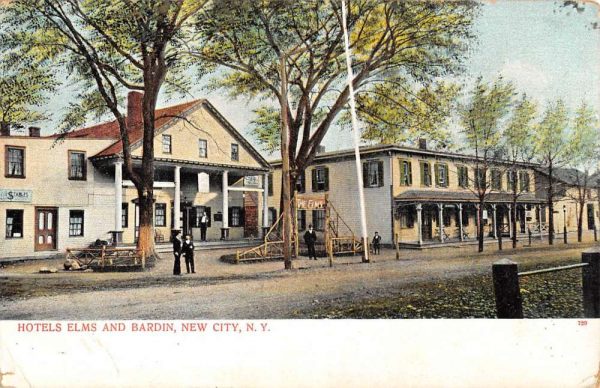 New City New York Hotel Elms And Bardin Street View Antique Postcard K97876