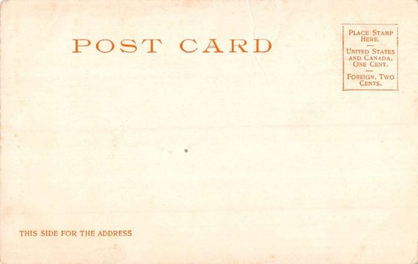 Old Forge New York State Hatchery Street View Antique Postcard K97955 - Image 2