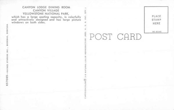Yellowstone National Park Wyoming Canyon Lodge Dining Vintage Postcard K97995 - Image 2