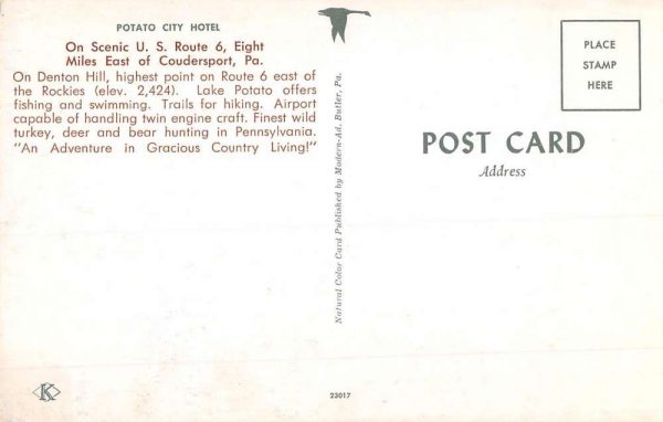 Coudersport Pennsylvania Potato City Hotel Street View Vintage Postcard K98005 - Image 2