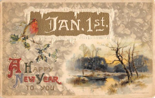 Group Of 3 Happy New Year Birds Snow Scene Winsch Antique Postcards K98165