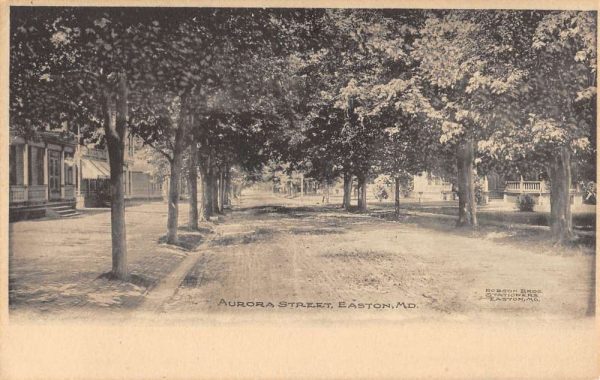 Easton Maryland Aurora Street Scene Residential Antique Postcard K98530