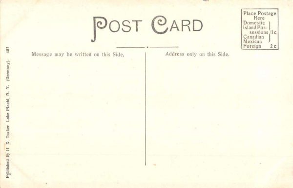 Lake Placid New York Forest Towers Scenic View Antique Postcard K98541 - Image 2