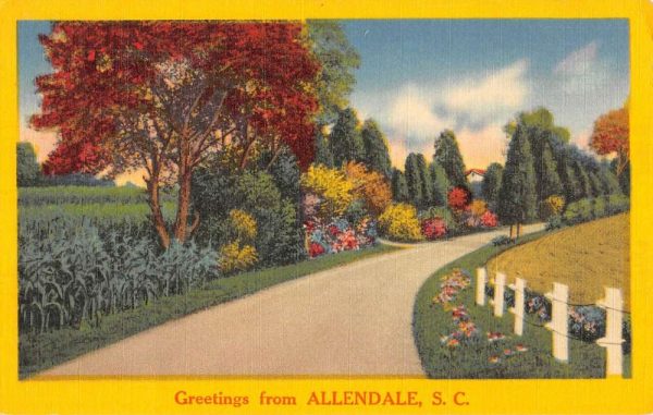 Allendale South Carolina Scenic Street View Greeting Antique Postcard K98560