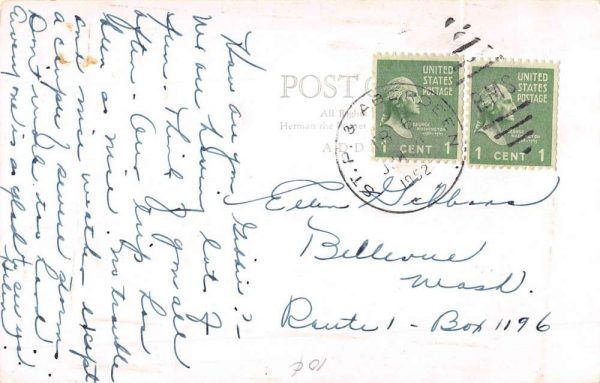 Detroit Lakes Minnesota Waterfront Real Photo Antique Postcard K98750 - Image 2
