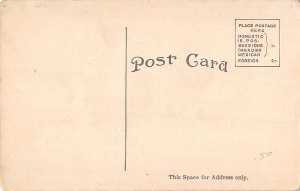 Janesville Wisconsin Rock River Railroad Scene Antique Postcard K98751 - Image 2