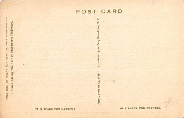 Glacier National Park Montana Hotel Street View Antique Postcard K98758 - Image 2