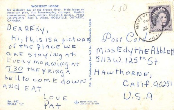 Noelville Ontario Canada Wolseley Lodge Birdseye View Vintage Postcard K98857 - Image 2