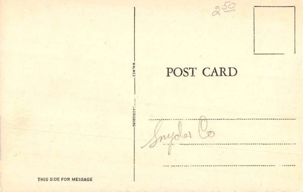 Selinsgrove Pennsylvania Post Office Street View Antique Postcard K98940 - Image 2