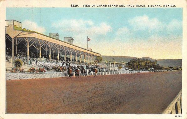 Tijuana Mexico Race Track Grand Stand Horses Antique Postcard K99455