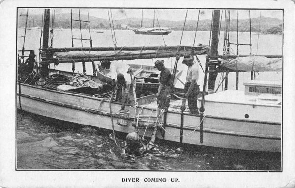 Diver Coming Up Fleet Sail Boat Scene Antique Postcard K99798