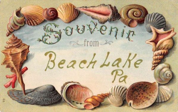 Beach Lake Pennsylvania Seashell Souvenir Border Antique Postcard K99981