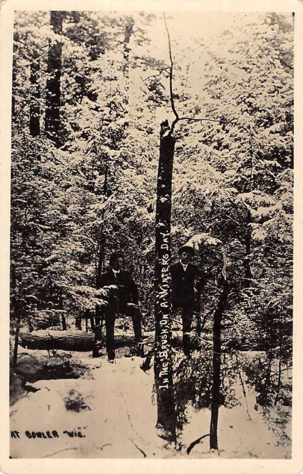 Mt Bowler Wisconsin Forest Winter Scene Real Photo Antique Postcard K100098