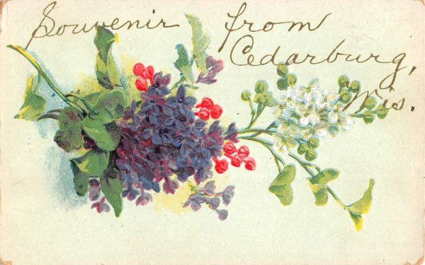 Cedarburg Wisconsin Flower Greeting Antique Postcard K100138