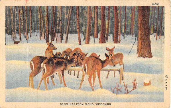 Elcho Wisconsin Deer Snow Scene Greeting Antique Postcard K100148