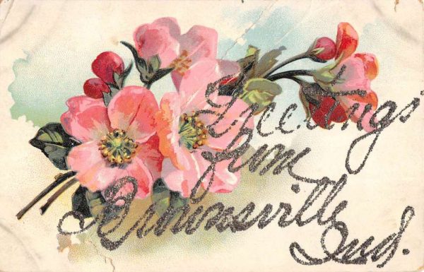 Brownsville Indiana Flower Glitter Greeting Antique Postcard K100150