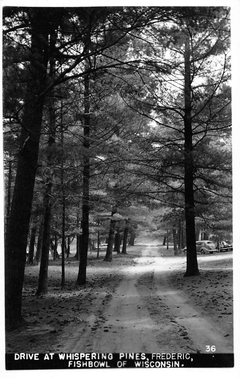 Frederic Wisconsin Whispering Pines Drive Real Photo Antique Postcard K100172