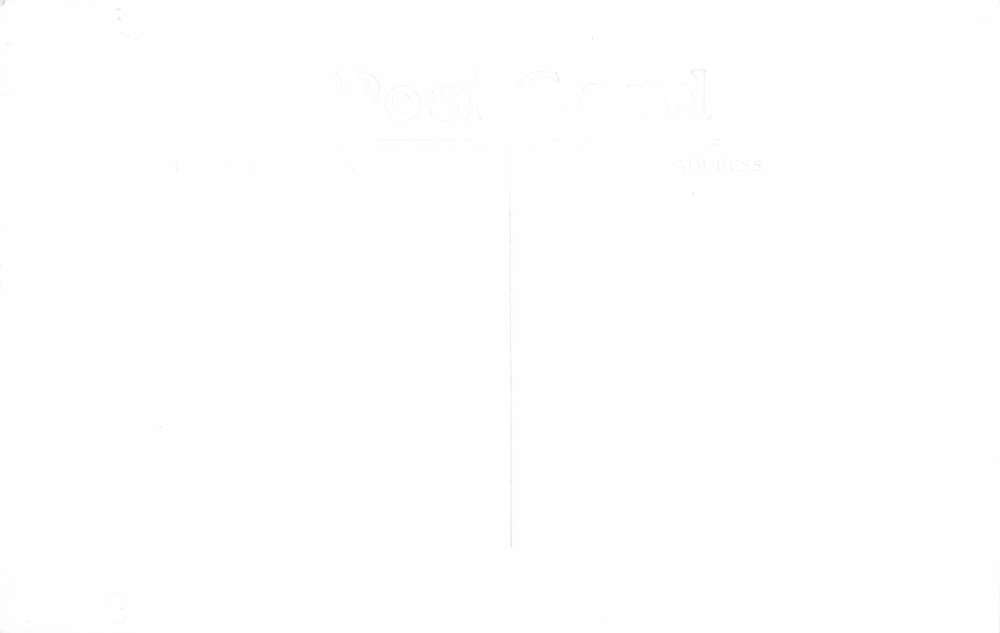 Frederic Wisconsin Whispering Pines Drive Real Photo Antique Postcard K100172 - Image 2