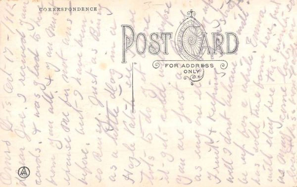Omro Wisconsin Couple In Chair Pennant Flag Antique Postcard K100191 - Image 2
