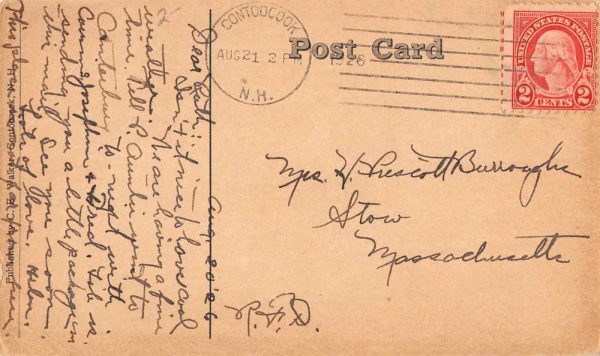Davisville New Hampshire Waterfalls Scenic Antique Postcard K100366 - Image 2