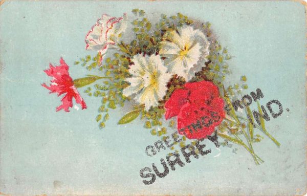 Surrey Indiana Flower Greeting Antique Postcard K100414