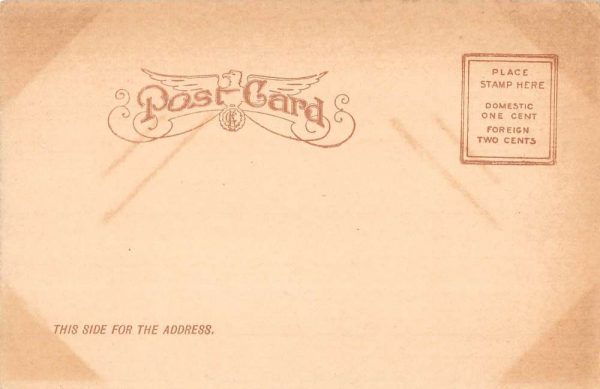 Wittenberg Wisconsin Academy Street View Antique Postcard K100441 - Image 2