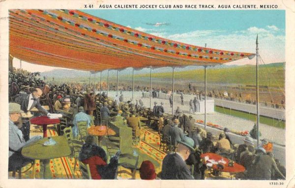 Agua Caliente Mexico Jockey Club and Race Track Antique Postcard J78107