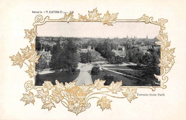 Toronto Canada Aerial View from the Park Antique Postcard J78116