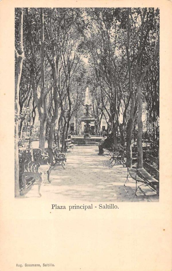 Saltillo Mexico Plaza Principal Scenic View Antique Postcard J78130