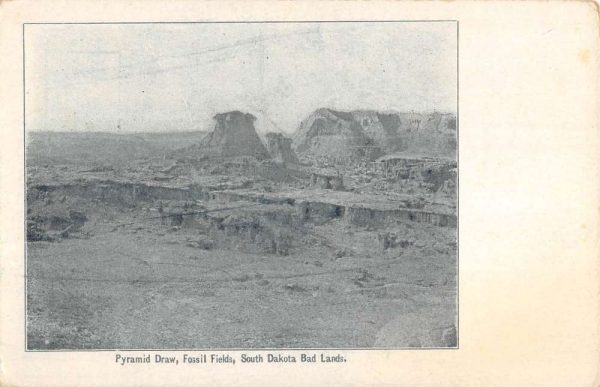 Fossil Fields South Dakota Bad Lands Pyramid Draw Antique Postcard K100662