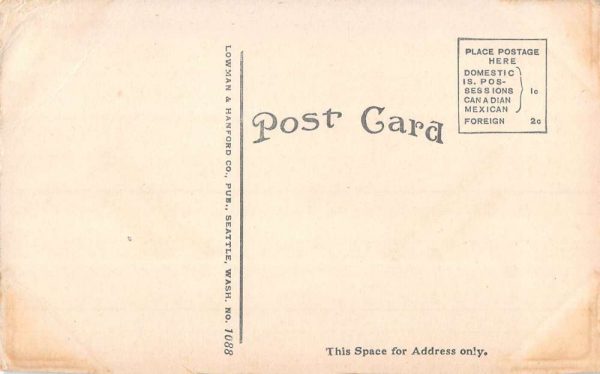Wrangell Alaska Winter Scene Birdseye View Antique Postcard K100810 - Image 2