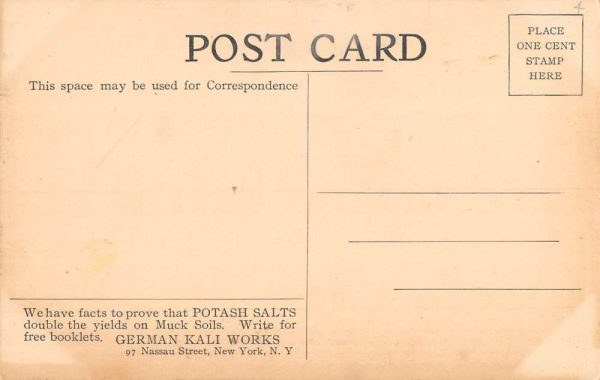 Momence Illinois Swamp Land Corn Field Antique Postcard K100891 - Image 2