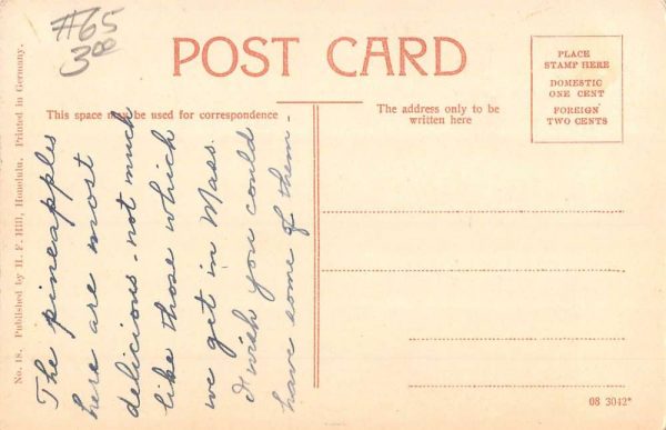 Wahiawa Hawaii Pineapple Plantation Field Antique Postcard K100913 - Image 2