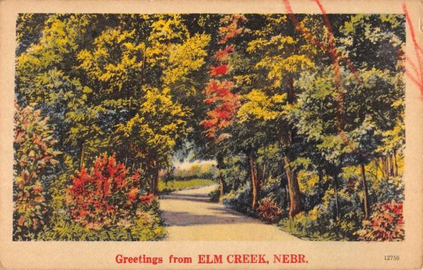 Elm Creek Nebraska Scenic Roadway Greeting Antique Postcard K101086