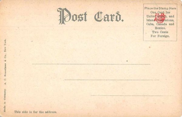 Mt Taurus Stony Point New York Goldspring Scenic View Antique Postcard J78746 - Image 2