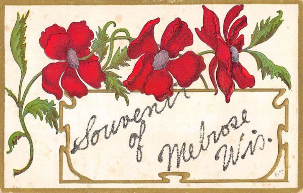 Melrose Wisconsin Flower Souvenir Greeting Antique Postcard K101574