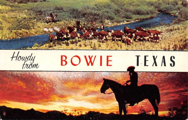 Bowie Texas Cow Boy Horse Multiview Vintage Postcard K101590